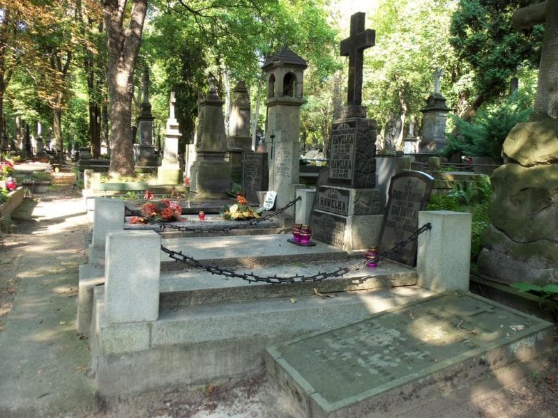 Zdjęcie grobu Franciszka Walin (1)