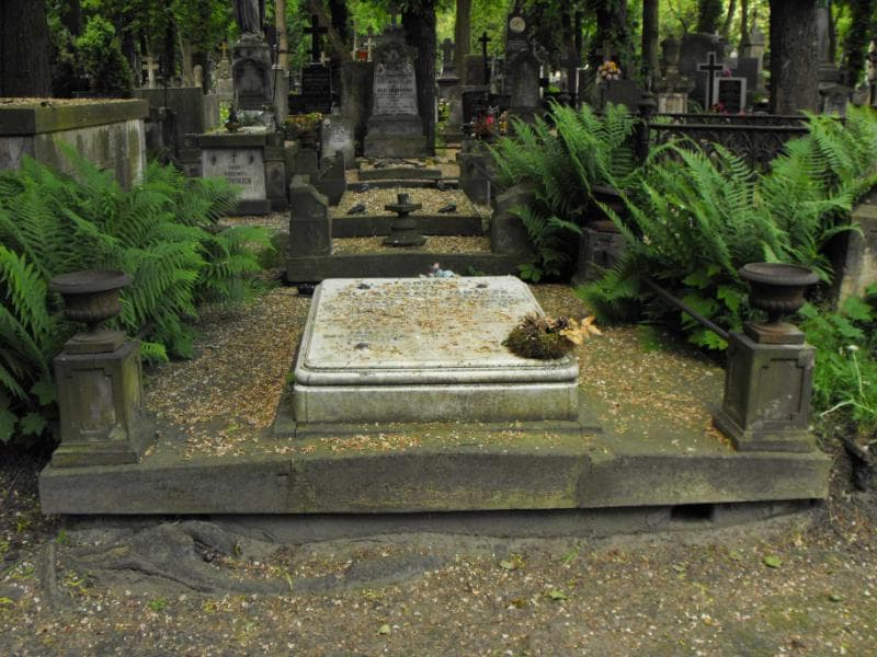 Zdjęcie grobu: Wacław Janasz