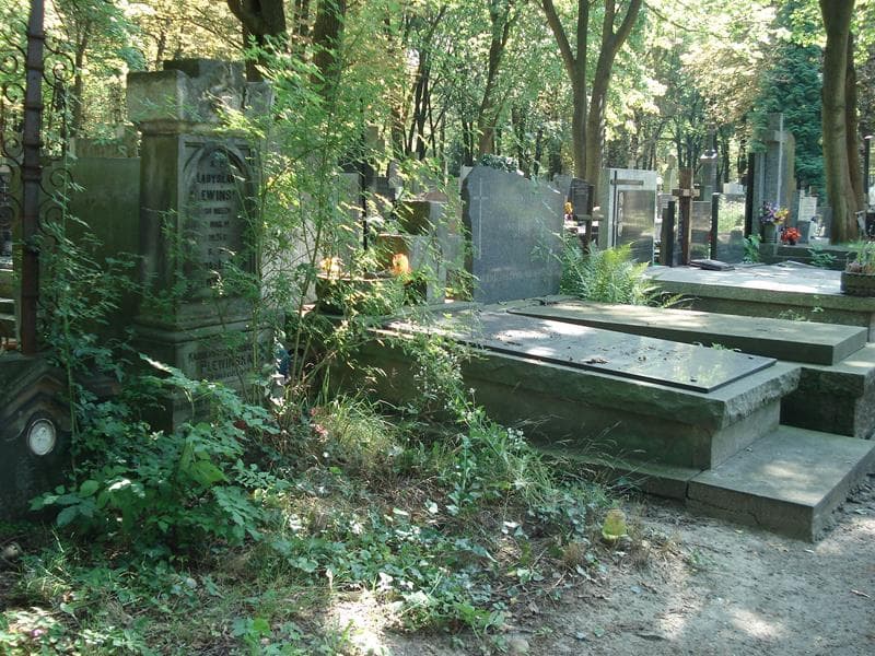 Zdjęcie grobu Karolina Plewińska (1)