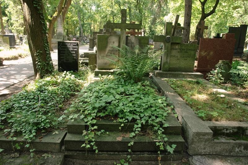 Zdjęcie grobu Halina Klimek (1)