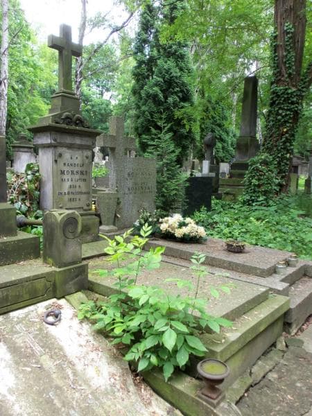 Zdjęcie grobu Maria Dobkowa (1)