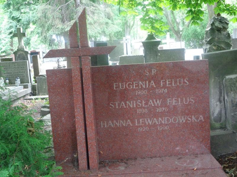 Zdjęcie grobu Hanna Lewandowska (2)