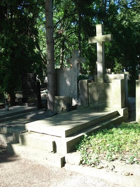 Zdjęcie grobu Wacława Rajmunda Niepiekło (1)