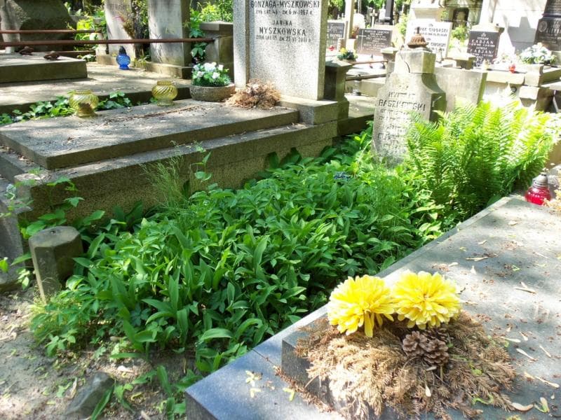 Zdjęcie grobu Hypolit Baszkowski (1)