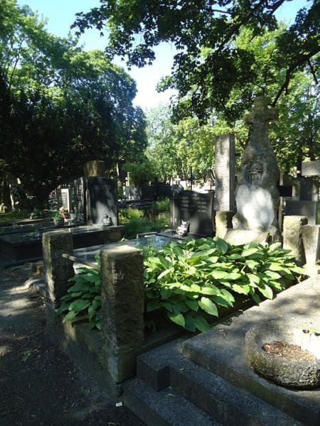 Zdjęcie grobu Ignacy Lachowicz (1)