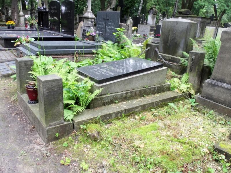 Zdjęcie grobu Zofia Braunowa (1)