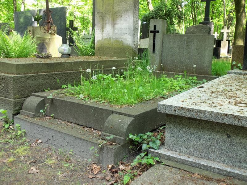 Zdjęcie grobu Ludwik Herbert (1)
