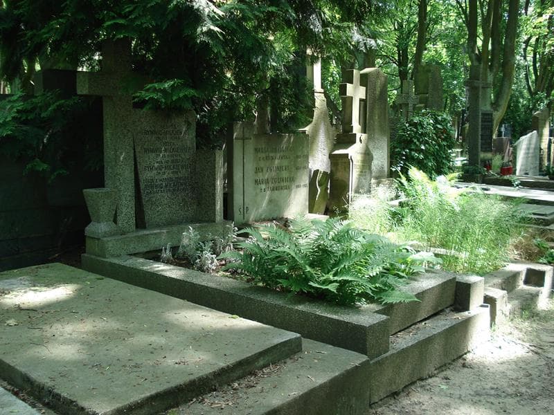 Zdjęcie grobu Regina Rymwid-Mickiewicz (1)