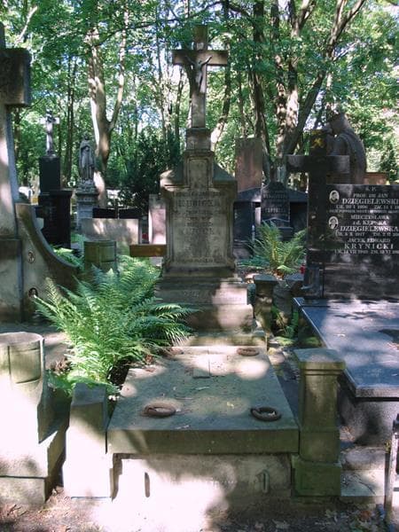 Zdjęcie grobu Ludwika Kubicka (1)