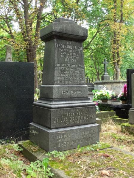 Zdjęcie grobu Ferdynand Friese (2)