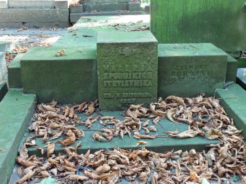 Zdjęcie grobu Zygmunt Pohoski (2)