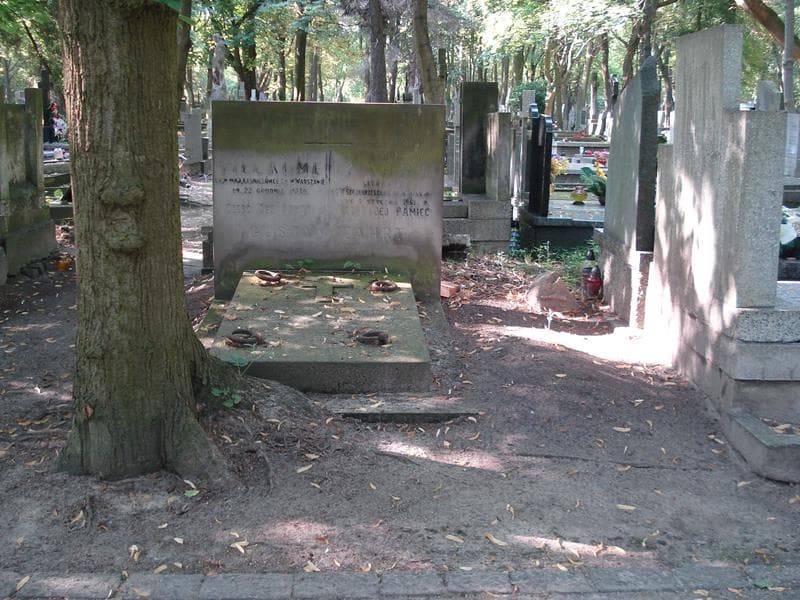 Zdjęcie grobu: Henryka Villaume