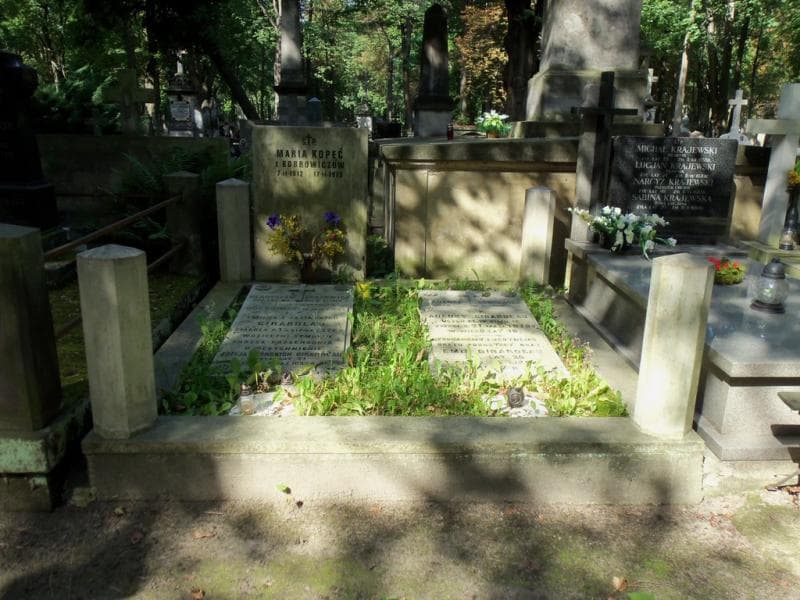 Zdjęcie grobu: Władysław Bobrowicz