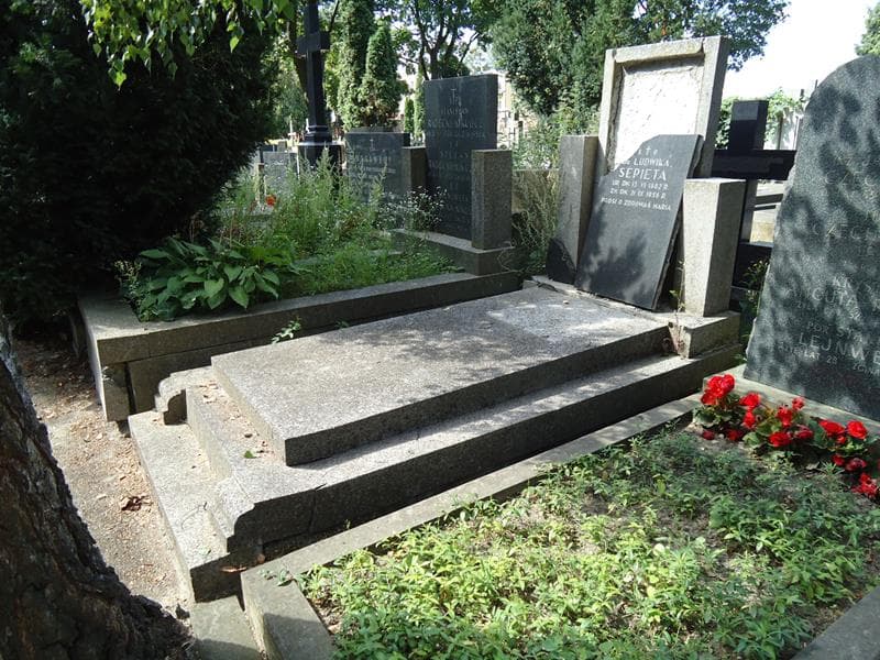 Zdjęcie grobu Ludwika Sepieta (1)