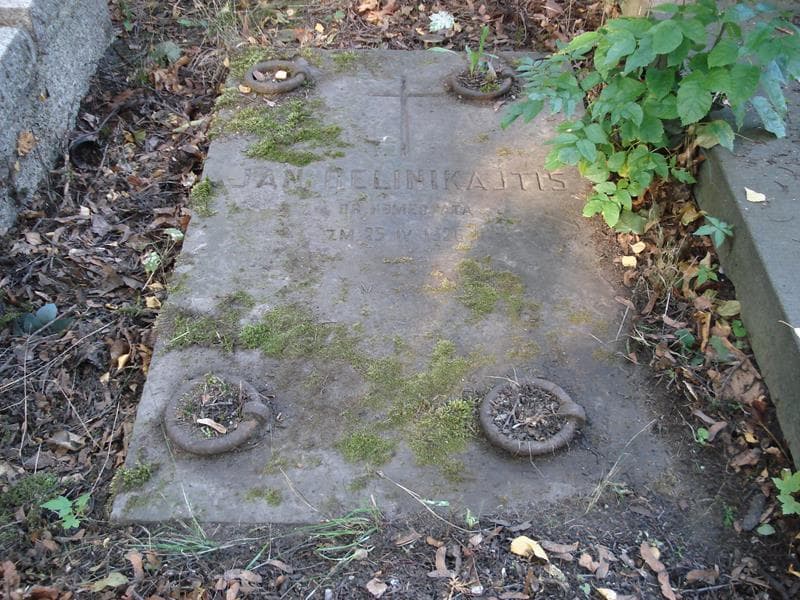 Zdjęcie grobu Jan Delinikajtis (2)