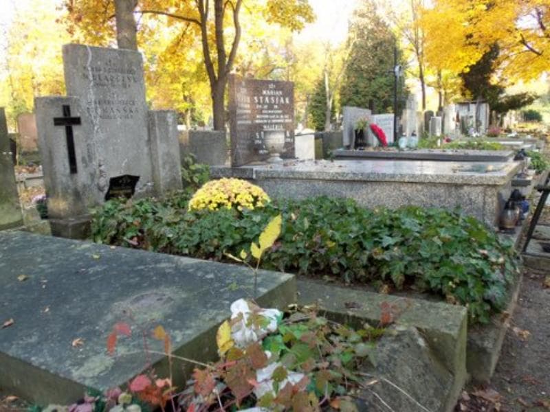 Zdjęcie grobu Janina Domańska (1)