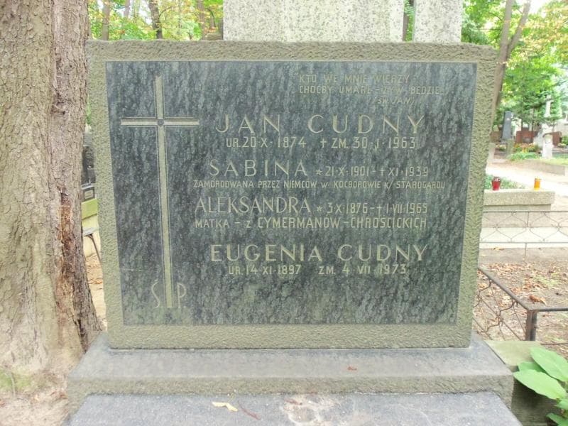 Zdjęcie grobu Aleksandra Cudny (2)
