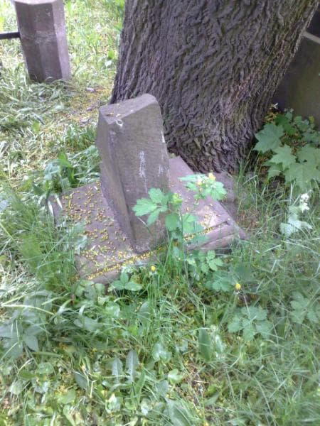Zdjęcie grobu Anonim (1)