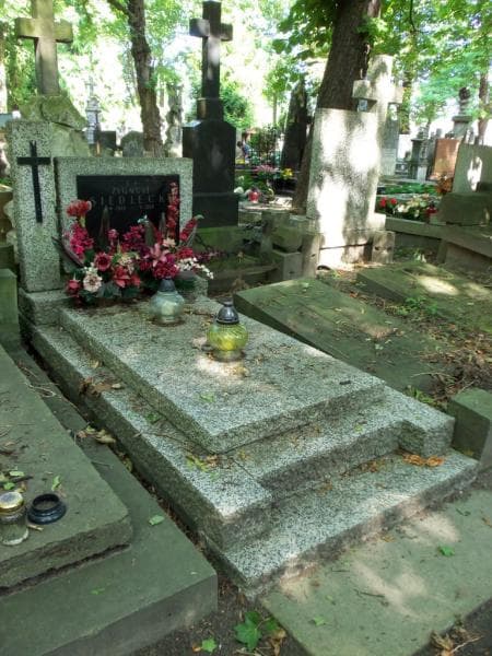 Zdjęcie grobu Zygmunt Siedlecki (1)