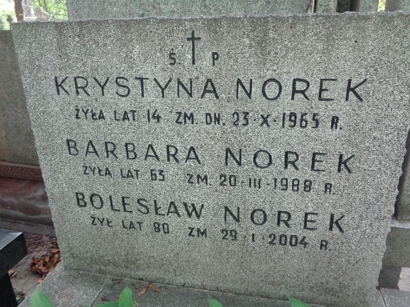 Zdjęcie grobu Barbara Norek (2)
