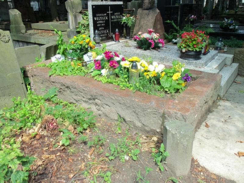 Zdjęcie grobu Władysław Stypułkowski (1)