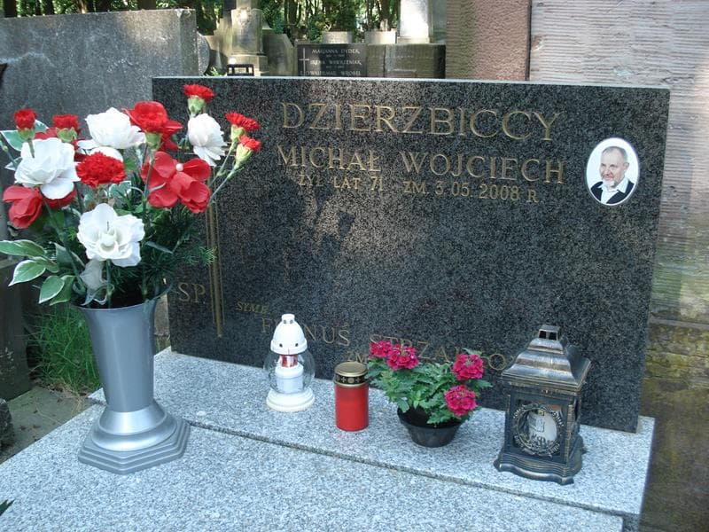 Zdjęcie grobu Franuś Strzałkowski (1)