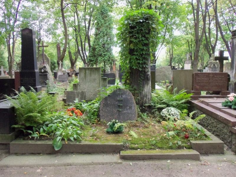 Zdjęcie grobu: Dmowscy