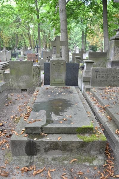 Zdjęcie grobu Wincenty Leszczyński (1)