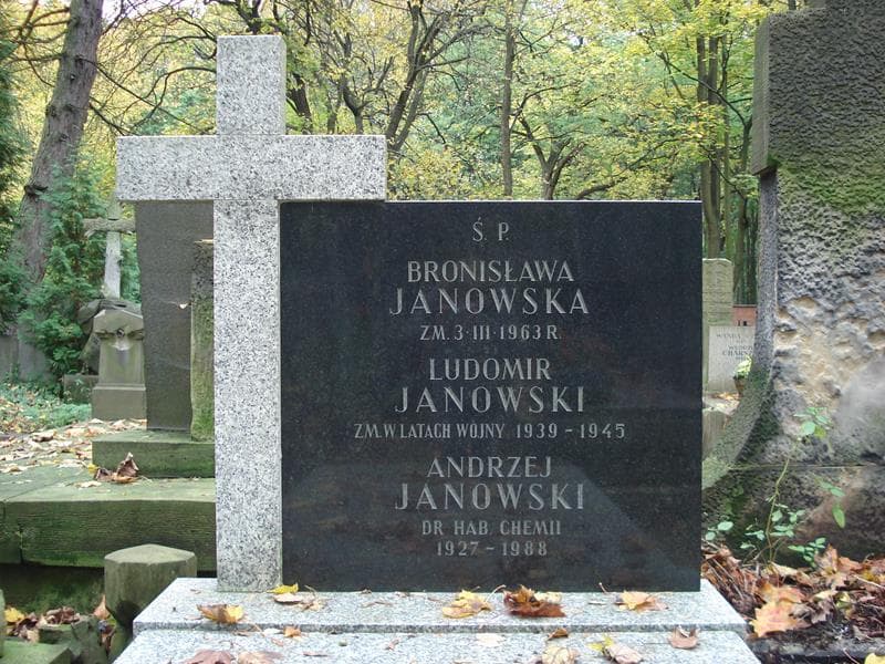 Zdjęcie grobu Andrzej Janowski (2)