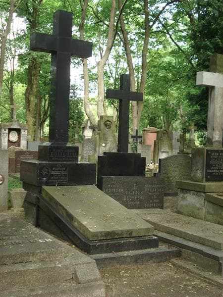 Zdjęcie grobu Władysław Goszczyński (1)