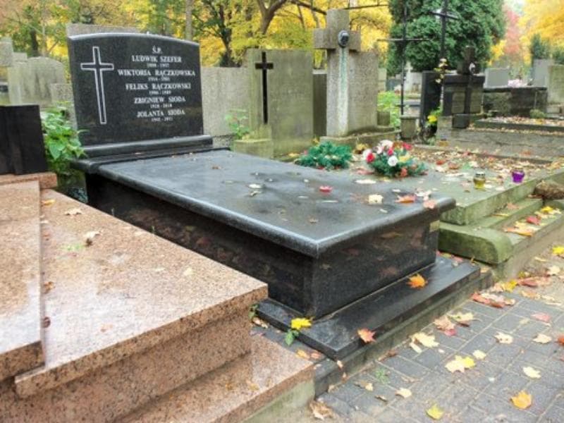 Zdjęcie grobu Ludwik Szefer (1)
