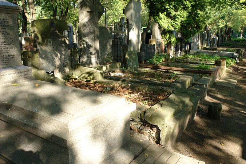 Zdjęcie grobu Władysław Ryś (1)