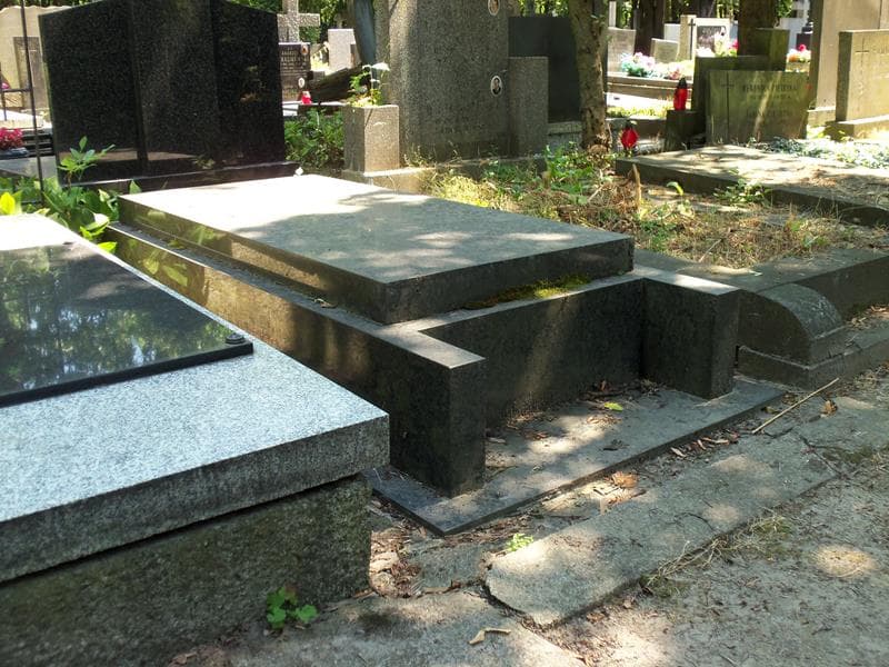 Zdjęcie grobu Stanisław Rymkiewicz (1)