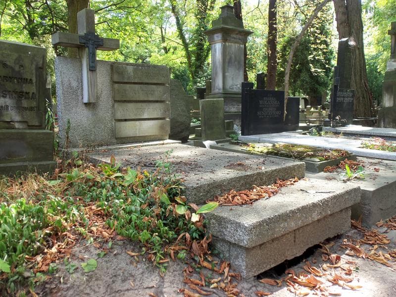 Zdjęcie grobu Anna Trzcińska (1)
