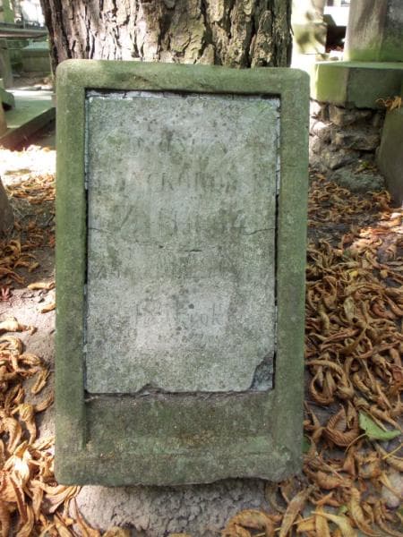 Zdjęcie grobu Dyonizy Lanckoroński (2)