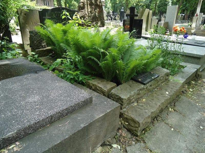Zdjęcie grobu Stanisława Węgiel (1)