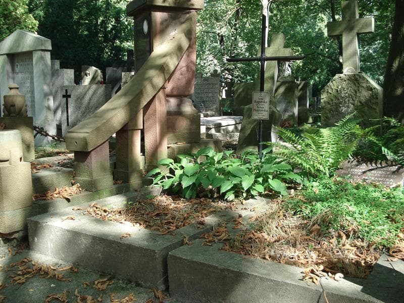 Zdjęcie grobu Barbara Piotrowska (1)