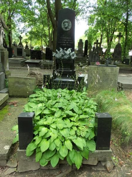 Zdjęcie grobu Henryk Bolechowski (1)