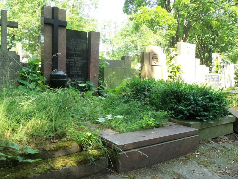 Zdjęcie grobu Mieczysław Szczepkowski (1)