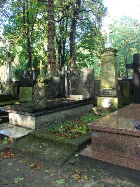 Zdjęcie grobu Marya - Józefa Marciszewska (1)