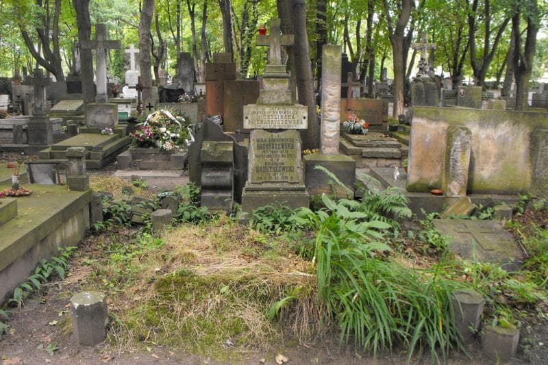 Zdjęcie grobu Bolesław Hadryszewski (1)