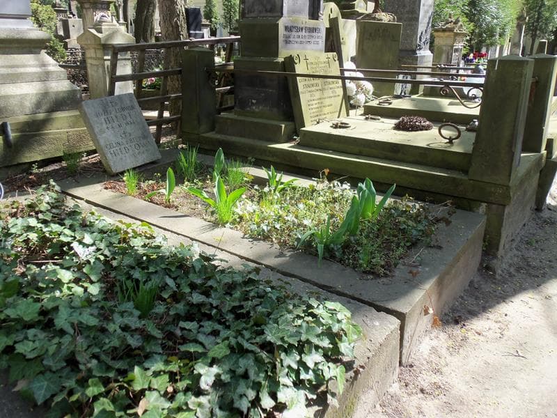 Zdjęcie grobu Józef Ludwik Hildt (1)
