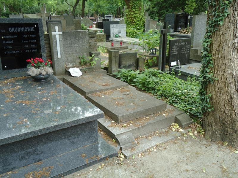 Zdjęcie grobu Joanna Krzyżanowska (1)