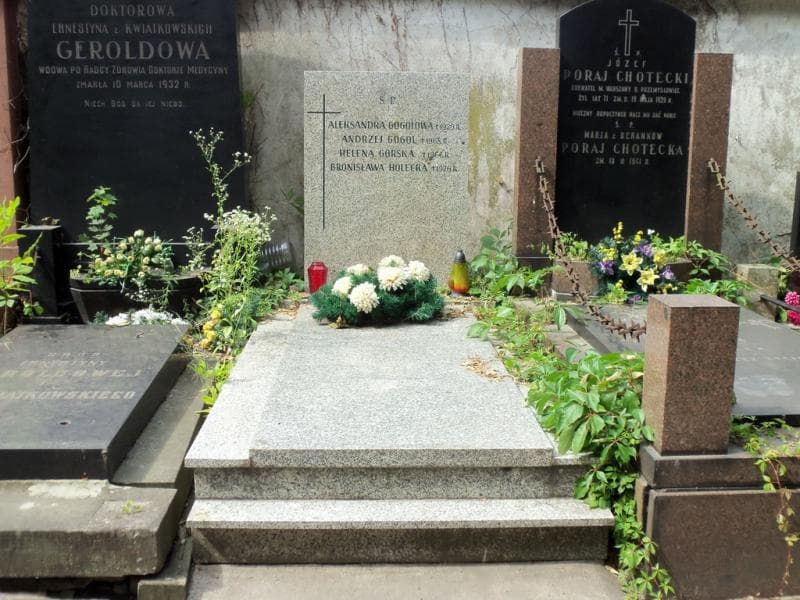 Zdjęcie grobu: Helena Górska