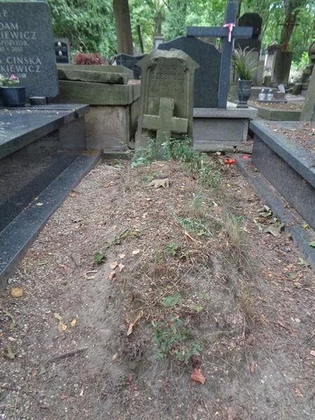 Zdjęcie grobu Aleksander Dębowski (1)