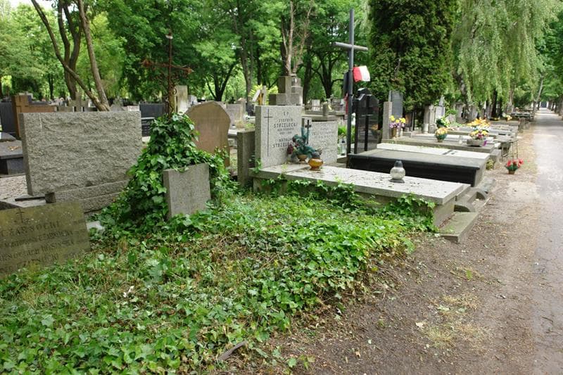Zdjęcie grobu: Wacław Bożyc-Kuczewski
