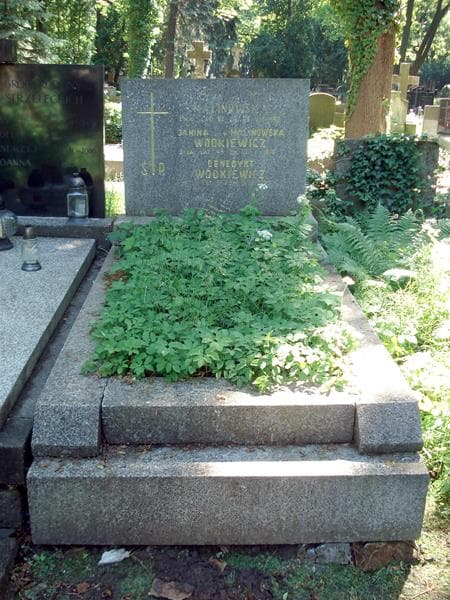 Zdjęcie grobu: Lucyna Malinowska