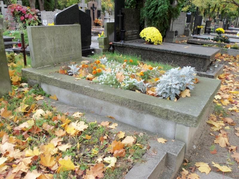 Zdjęcie grobu Gabryela Koźniewska (1)