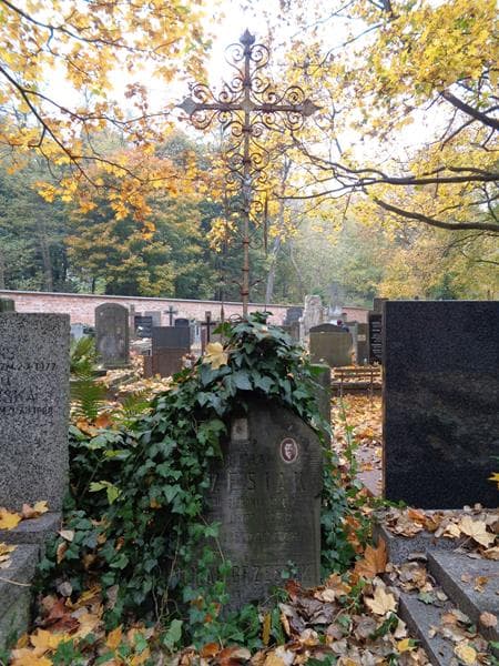 Zdjęcie grobu Michał Grzesiak (2)