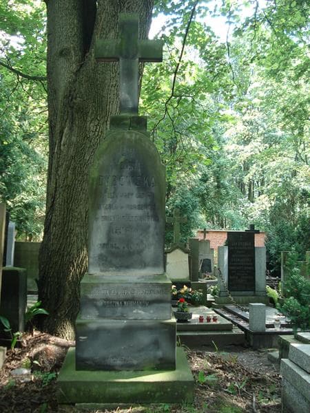 Zdjęcie grobu Helena Dybowska (2)